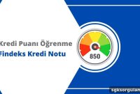 Check Your Credit Score – Findeks Credit Rating Inquiry