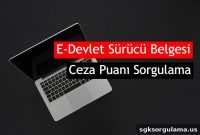 Check Your Driver’s License Penalty Points on e-Government (e-Devlet)