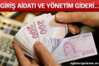 What Is the Individual Pension Contribution and How It Works