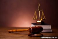 How to Check Court Case Results on E-Devlet (Step-by-Step)