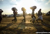 Severance Pay Rights for Refugee Employees