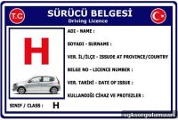 Driver’s License for People with Disabilities: Eligibility & Guide