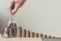 2020 Mandatory Private Pension System: Eligibility and Rules