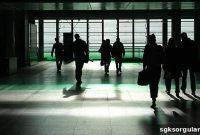 Which Public Officials Receive Travel Allowances?
