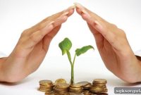 Anadolubank Individual Retirement Plan Guide