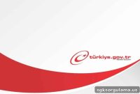 Check Your Diploma on e-Devlet: Instant Online Verification