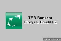 TEB Individual Retirement Application and Status Check