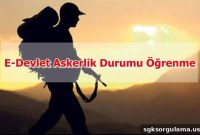 Check Your Military Service Status on e-Devlet (Turkish Gov Portal)