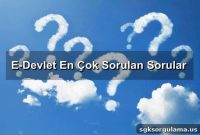E-Devlet: Most Asked Questions and Answers