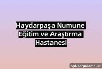 Book an Appointment at Haydarpaşa Numune Training and Research Hospital