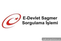 Check Your Sagmer Status on E-Devlet: How to Query Online