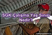 What Is the Working Age Limit for SGK in Turkey?