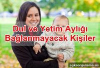 Who Is Not Eligible for Widow or Orphan Pensions in Turkey?