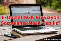How to Check SGK Provision Status on e-Devlet in Minutes
