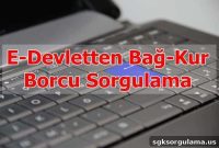 Check Bağ-Kur Debt Online via e-Devlet: Quick Inquiry