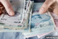 13 Ways for Retirees to Earn Money from Home in 2025