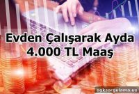 Earn 4,000 TL a Month Working from Home