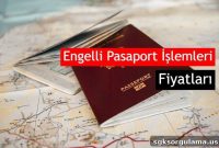 2022 Disabled Passport Applications and Fees: What You Need to Know