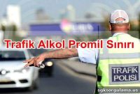 Traffic Alcohol Promille Limit
