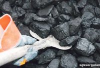 Who Qualifies for Coal Assistance? 2026 Application Guide