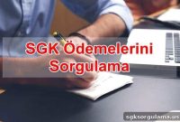 Check SGK Payment Status Online Today