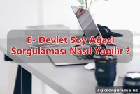 How to Check Your Family Tree on E-Devlet