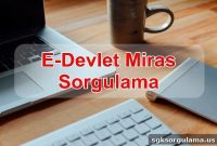 How to Check Inheritance Records on E-Government (E-Devlet)