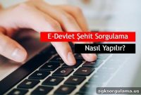 How to Check Martyr Status on E-Devlet (Step-by-Step)