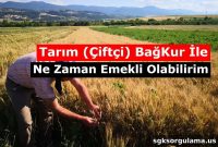 When Can a Farmer Retire With Bağ-Kur Benefits?