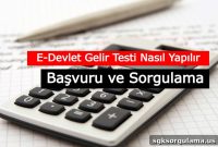 How to Apply for and Check Your e-Devlet Income Test Online