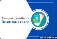 2024 Passport Renewal Fees in Turkey: How Much Will You Pay?