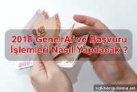 How Will the 2018 General Amnesty and Application Process Work?