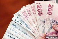 Will Retirees Lose Their Pension If They Return to Work? 2025 Rules