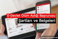 Apply for Death Pension on E-Devlet: Eligibility, Requirements & Documents