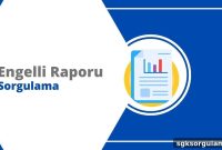 Disability Report Inquiry Portal 2025