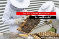 Ziraat Bank Beekeeping Loan with 84-Month Term and Government Support