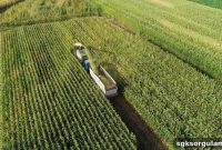 2024 Government Diesel Subsidy Amount and Fertilizer Support Requirements