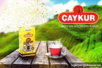 Çaykur Hiring 830 Workers Through İŞKUR: Apply Now