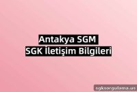 Antakya Social Security Center SGK Contact Info (0326 227 62 34)