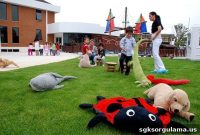 New Safety Measures for Private Daycares, Child Clubs, and Nurseries