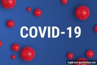 June 13 Coronavirus Report: Cases Continue to Rise