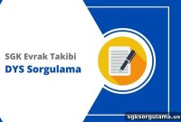 DYS Document Tracking and Inquiry Guide