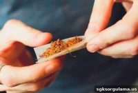 New Era for Selling Rolled and Filled Cigars Begins