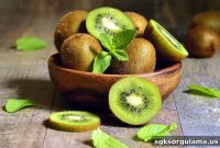 Fertilizer, Land, Fuel and Tractor Support from the Government for Kiwi Growers