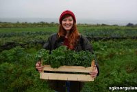 30,000 TL Grant for Women Farmers: No-Repayment Support Available