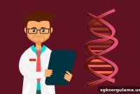 How to Get a Driver’s License Medical Report in Turkey and Costs