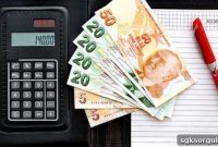 Check Your Government Debts Online via E-Devlet Portal