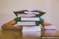 Does Paid Leave for Education Count Toward SGK Premium Days?