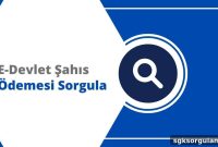 Check Personal Payments and View Records on e-Devlet