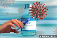 How to Book a COVID Vaccine Appointment on E-Devlet